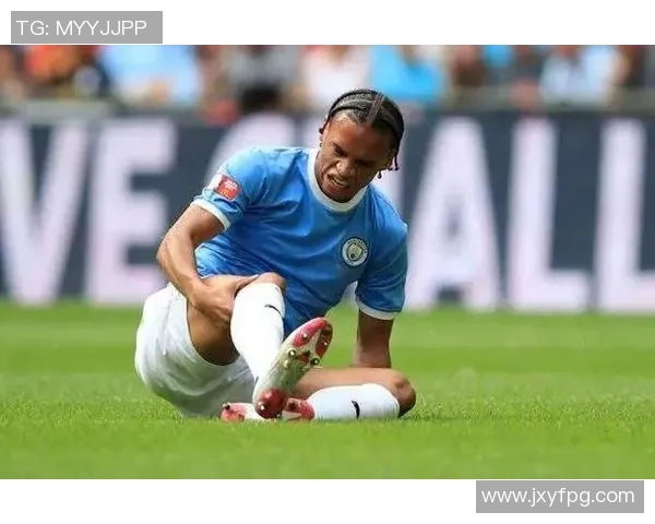 属猪的足球球星们：他们的球场表现如何与生肖命运相契合